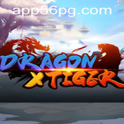 A Comprehensive Guide to DragonXTiger: Rules, Features, and Current Developments